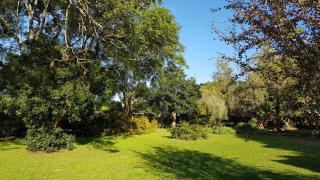 Cottage with Farmyard Garden on the Sunshine Coast - Alexandria - 7