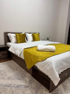 Новый ЖК Capital City, элитная квартира - Shymkent - 9