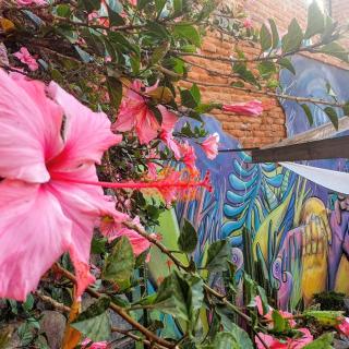 La Casa Piola - Valparaíso - 7