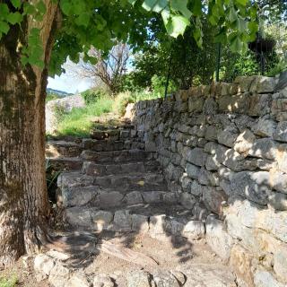 gite que canta - Saint-Julien-Vocance - 2