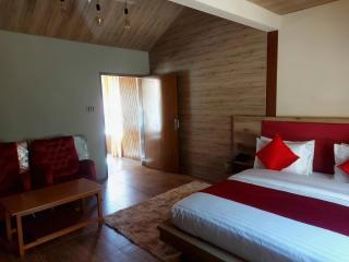Village Inn Naran - Ghumla - 4