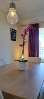 Casa Luca - Palm-mar - 9