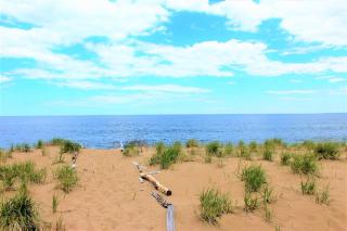 Camp46 Luxury Oceanfront Plum Island Cottage - - 2