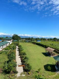 Tiger Wildlife Resort - 0