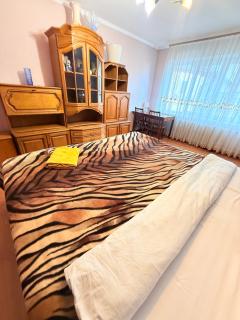 Inessa Hostel Room Комната в Хостэле - Chişinău - 4