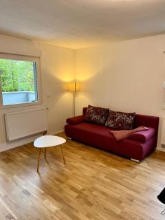 Erholung an den Wasserfällen - Ferienwohnung "Lentz" Baden-Baden - Stilvolles Apartment mit Terrasse, Parkplatz & ruhiger Lage - Baden-Baden - 0