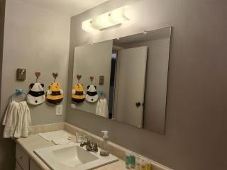 Island Panda Paradise in Victoria - 4