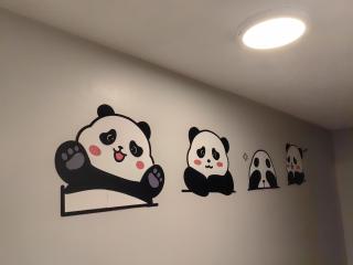 Island Panda Paradise in Victoria - 2