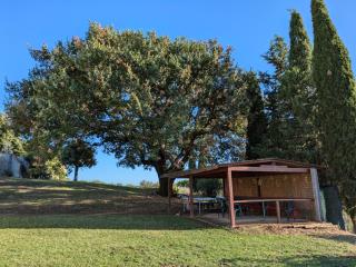 Agriturismo Il Giovannello - Roccastrada - 9