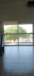 Capibara - Corrientes - 4