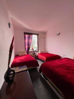 Hôtel Imouzzer - Ourika - 8