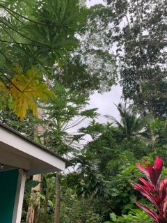 Casa Rio Verde - Cahuita - 4