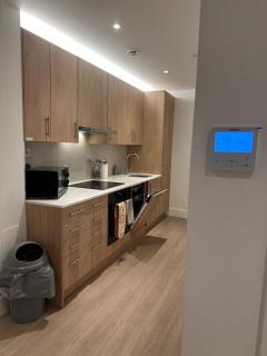 LUX Spacious 1BED Whole Apartment Central LDN - London - 5