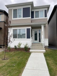 Basement in Keswick Edmonton - Edmonton - 7