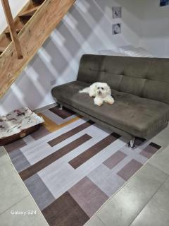 Vila Casa de Hóspedes Cajati - Cajati - 8