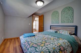 PetFriendly Home close to Downtown - Saint Paul - 3