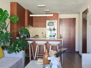Apartment in Las Condes with Jacuzzi and Private Quincho - Santiago - 4