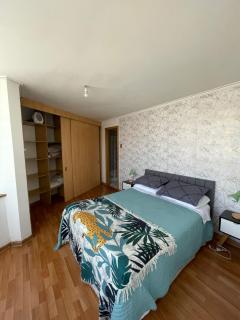 Acogedor y hermoso departamento - Santiago - 5
