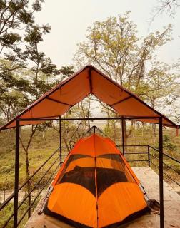 Jungle Nirvana Retreat - Meghauli - 4