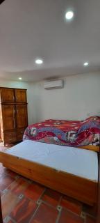 Hotel Boutique Casa Elefante - Guadalajara - 9