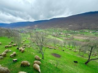 Vojic Lookout - - 6
