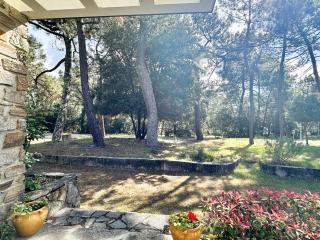 Villa lumineuse 3 chambres avec jardin à La Palmyre - FR-1-705-104 - Les Mathes - 9