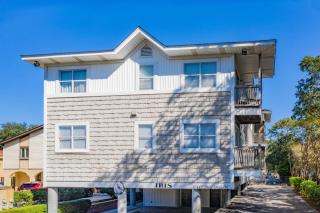 The Pink Flamingo - 5