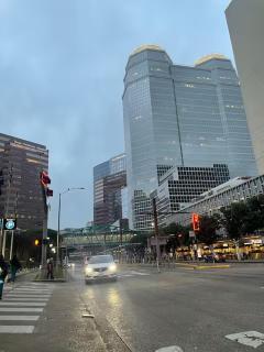 Private, city view , 5 beds, 2 balconies, Jacuzzi - Houston - 4