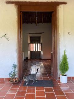 Casa Stellas - La Playa - 5
