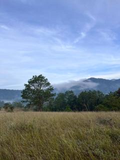 BLa Coconut House - 0