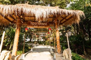 Lipa Lodge Beach Resort - Lipa Noi - 3