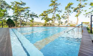 Pohang Pine Wave Spa Pension - 7