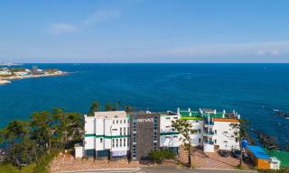 Pohang Pine Wave Spa Pension - 2