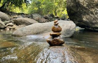 Elephant Pub - River Valley Huts by Antara - Viripara - 4