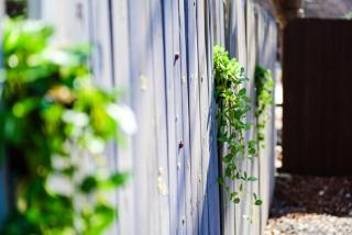 Stay Gapyeong 2025 Renovation - 7