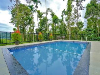 Oasis Vythiri Pool Apartments - Vythiri - 8