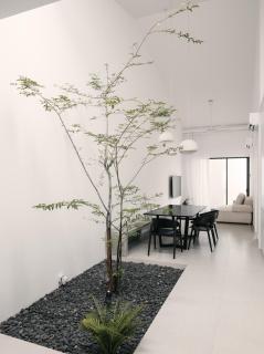 Salt Villa with Private Rooftop Jacuzzi - Jelutong - 1