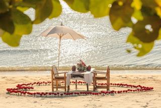 Lipa Lodge Beach Resort - Lipa Noi - 6