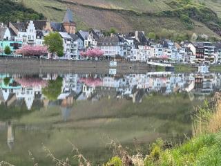 FeWo Kaamter F erkelsmarkt - Zell an der Mosel - 7