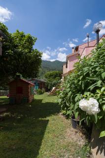 Agriturismo del Ponte "pomelo" - Rialto - 8