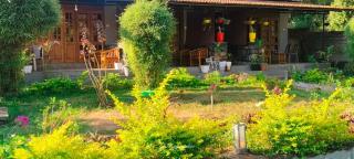 Elephant County resort - Masinagudi - 8