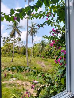 Paradise Garden House Suite - Baan Tai - 7