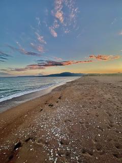 Boho Nomad Seaview Detached House - 6