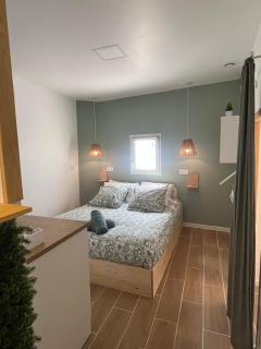 Chambre Cosy Sud Doré avec Piscine - Paulhan - 9