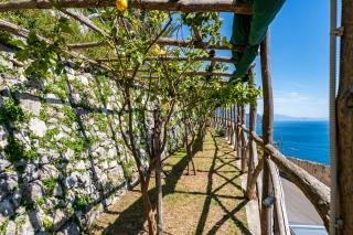 Villa Foglia Amalfi - Amalfi - 6