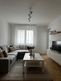 Vicino - Novi Sad - 0