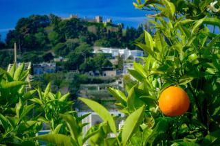Villa Dorothee - Capri - 9