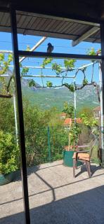 Etno House Mira - Virpazar - 6