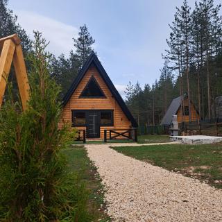 Pine forest-Black - Žabljak - 8