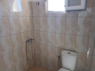 Thoma goro stefanelI - 3